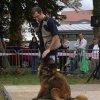 foire-haricots 2011-09-17et18
